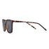 Vogily Eyewear- Perkins